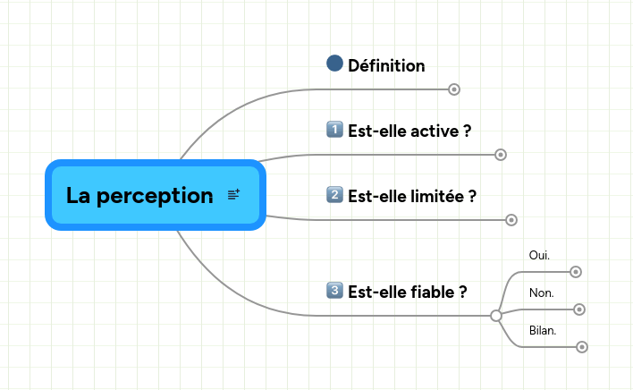 Mind map: La perception