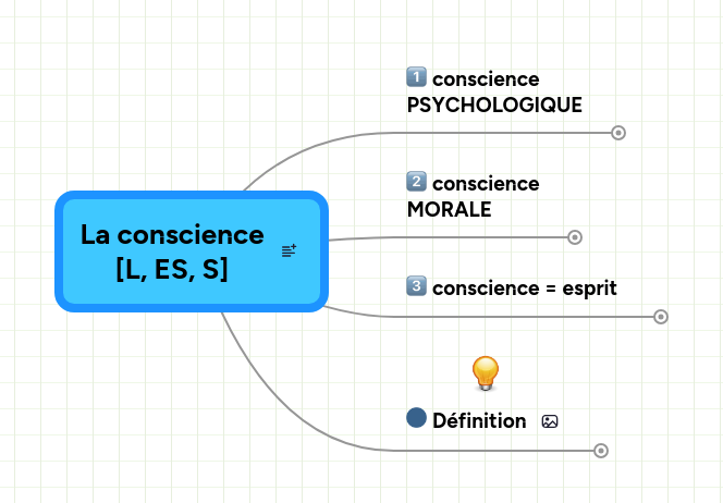 Mind map: La conscience