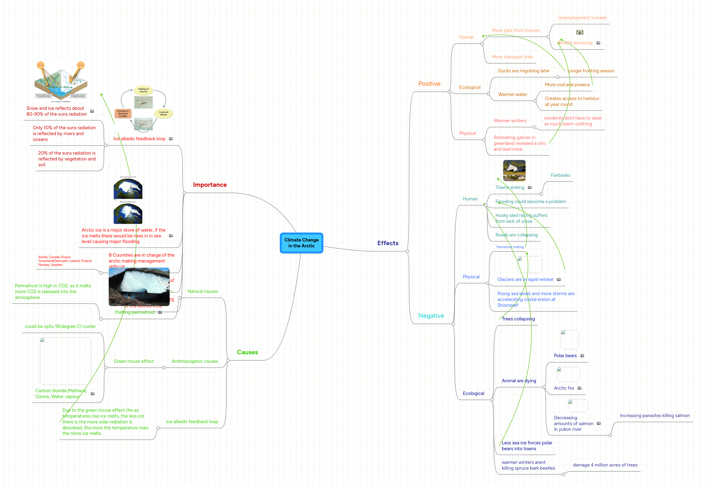 Mind Map: Climate Change
in the Arctic