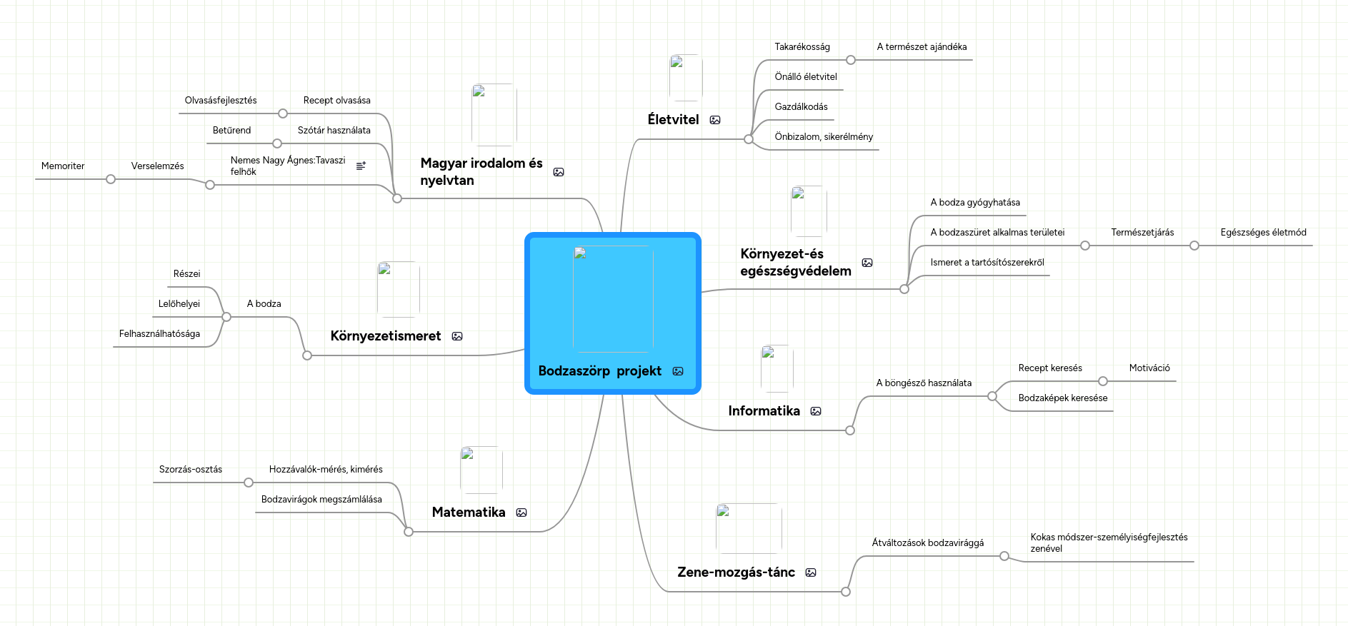 Mind map: Bodzaszörp  projekt