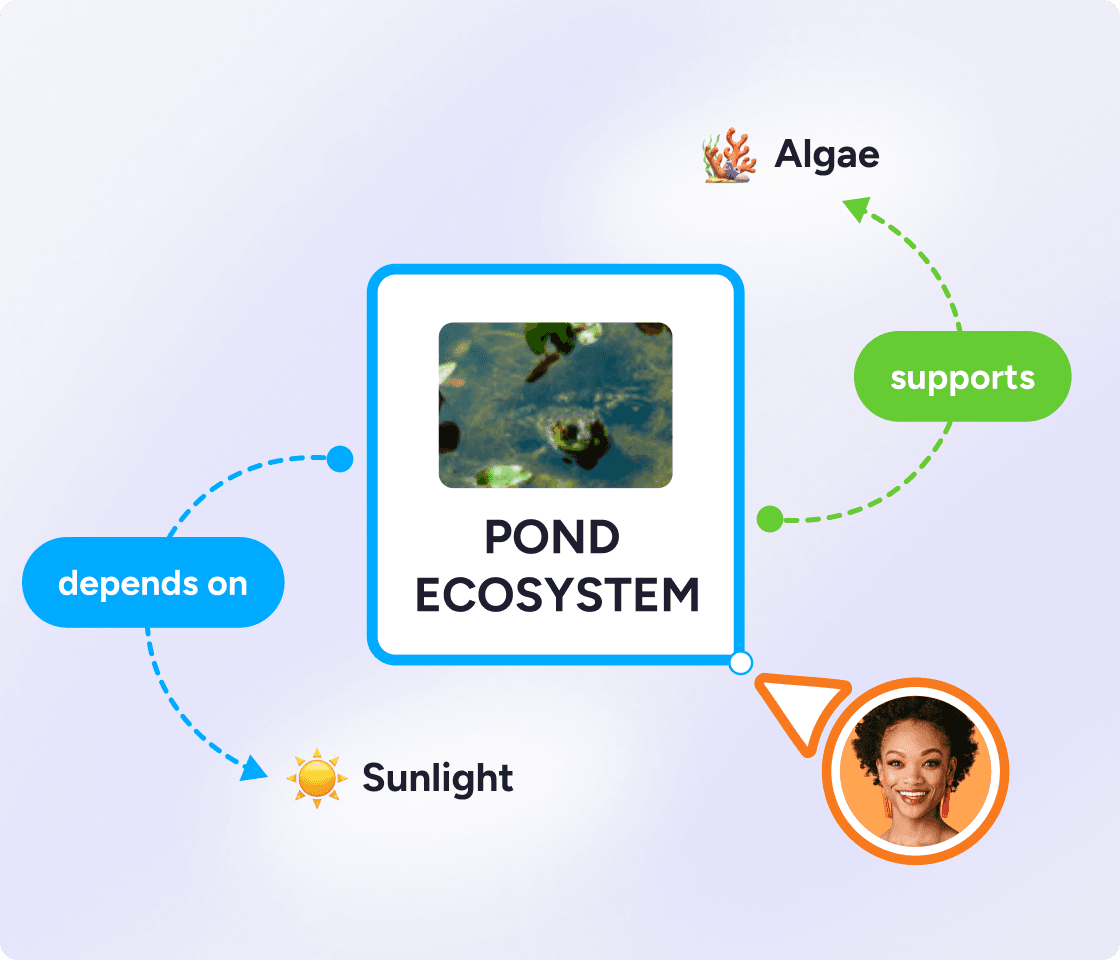 concept map example of pond ecosystem