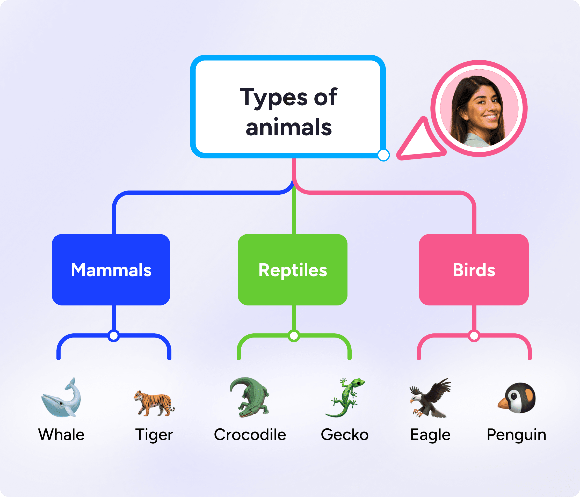 tree chart graphic organizer example for types of animals