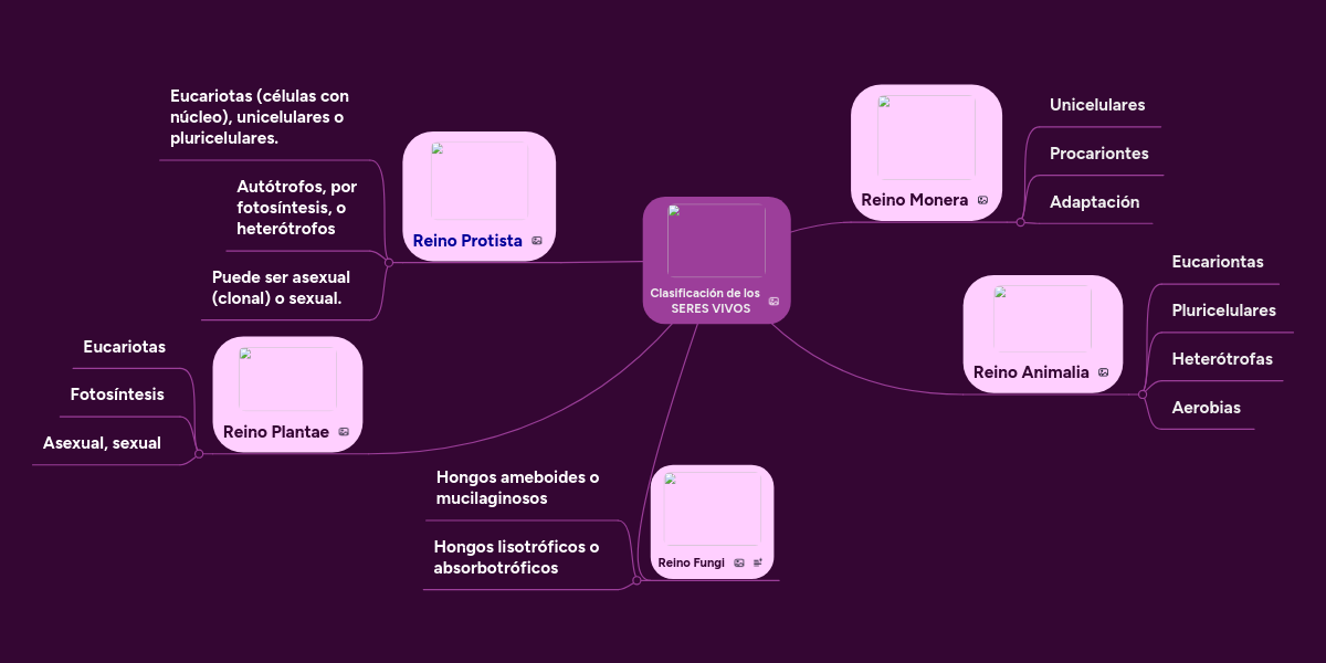 Clasificación de los SERES VIVOS MindMeister Mapa Mental