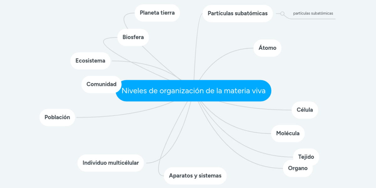 Niveles de organización de la materia viva MindMeister