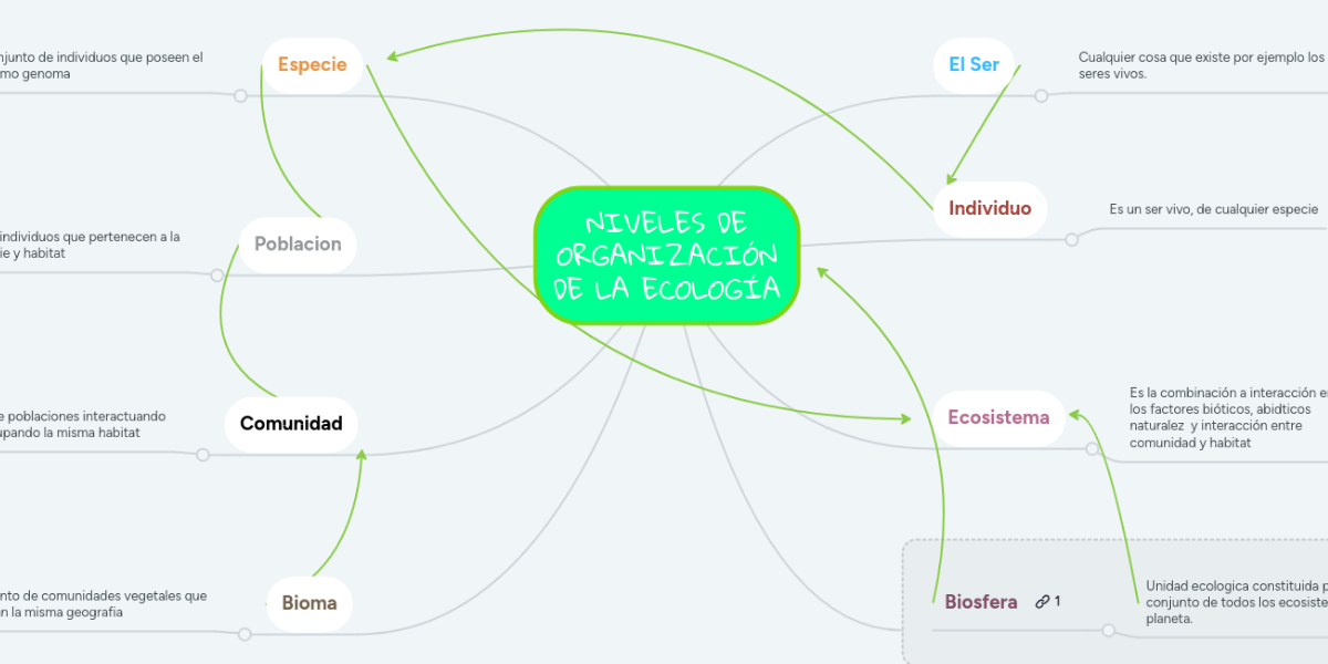 NIVELES DE ORGANIZACIÓN DE LA ECOLOGÍA MindMeister Mapa