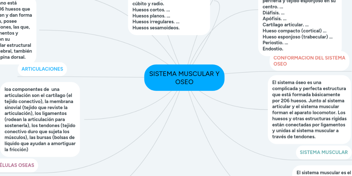SISTEMA MUSCULAR Y OSEO MindMeister Mapa Mental
