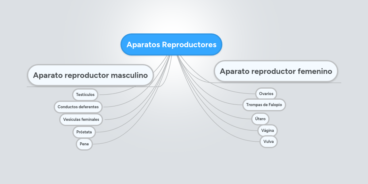 Aparatos Reproductores MindMeister Mapa Mental