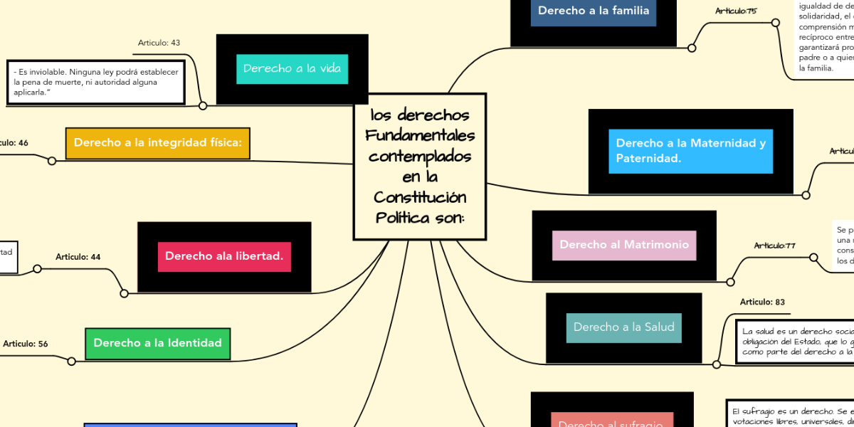 los derechos Fundamentales contemplados en la Con