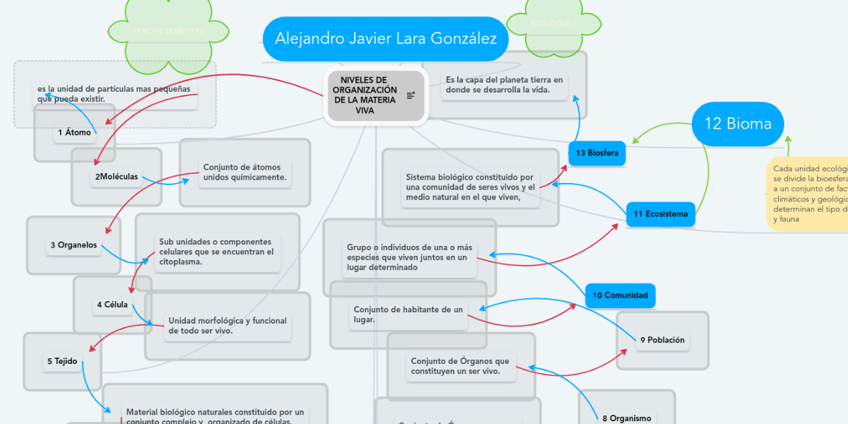 NIVELES DE ORGANIZACIÓN DE LA MATERIA VIVA MindMeister