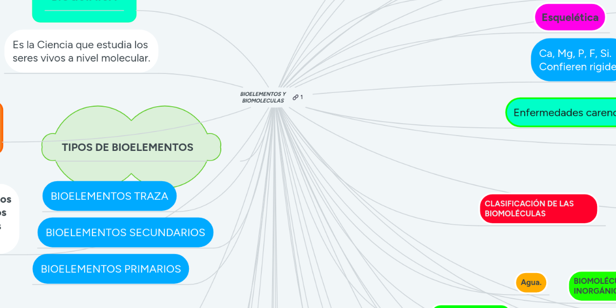 BIOELEMENTOS Y BIOMOLECULAS MindMeister Mapa Mental