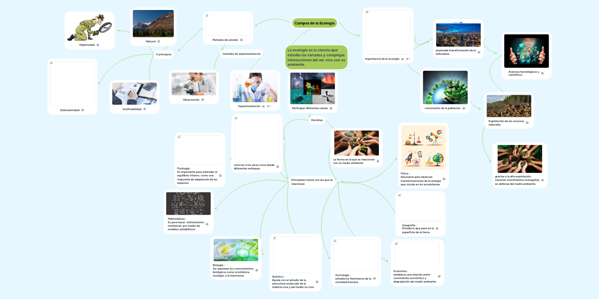 Campos de la Ecología MindMeister Mapa Mental