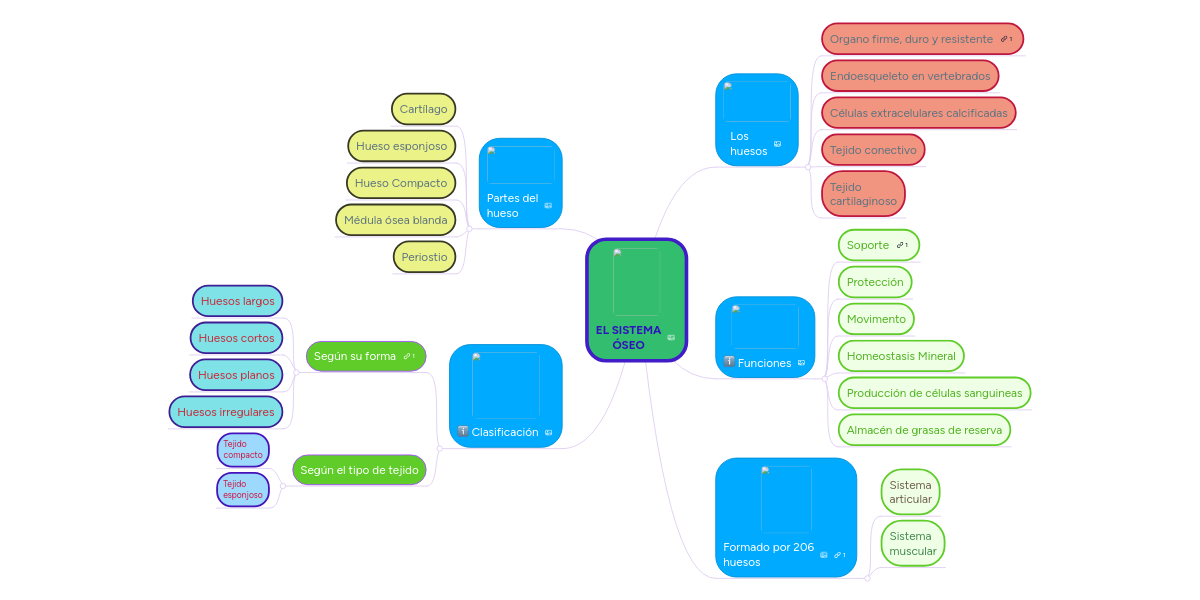 EL SISTEMA ÓSEO MindMeister Mapa Mental