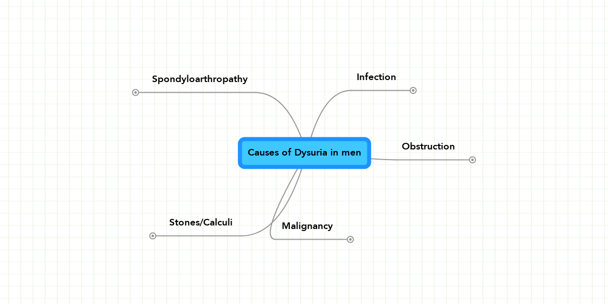Dysuria In Men 81