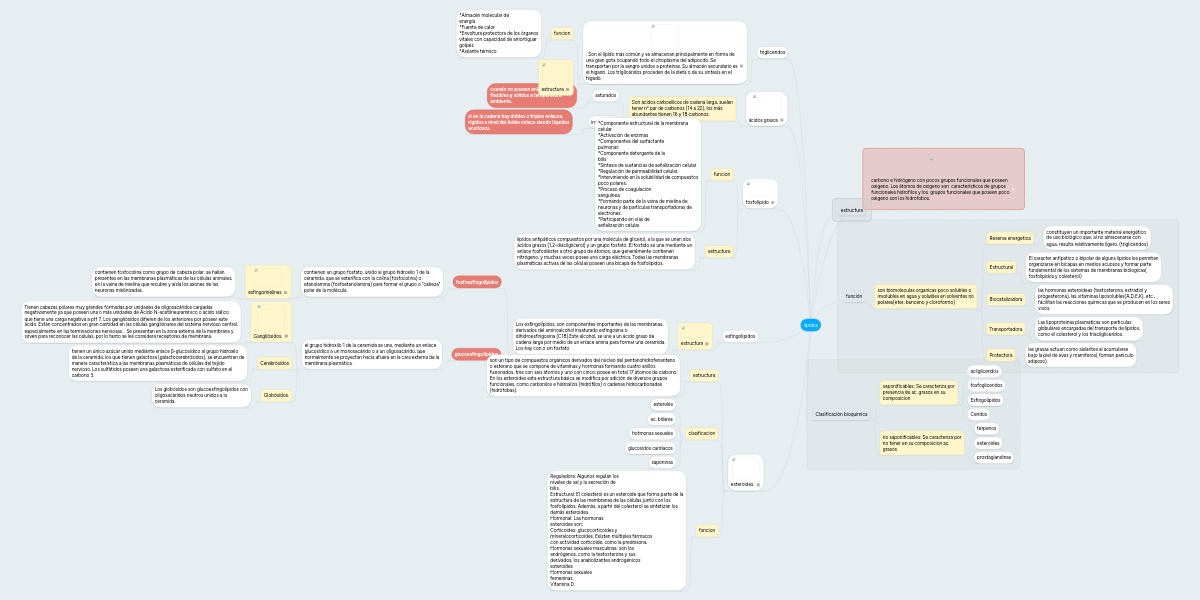 lipidos MindMeister Mapa Mental