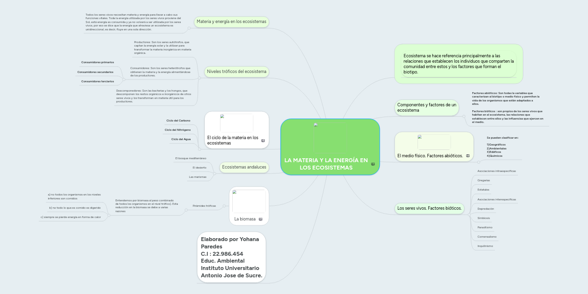 LA MATERIA Y LA ENERGÍA EN LOS ECOSISTEMAS MindMeister