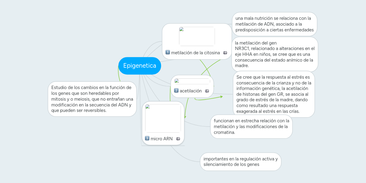 MindMeister Mapa Mental