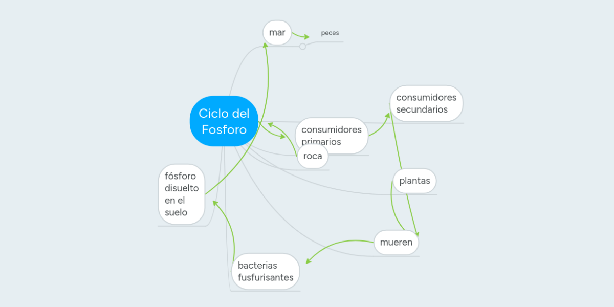Ciclo del Fosforo MindMeister Mapa Mental