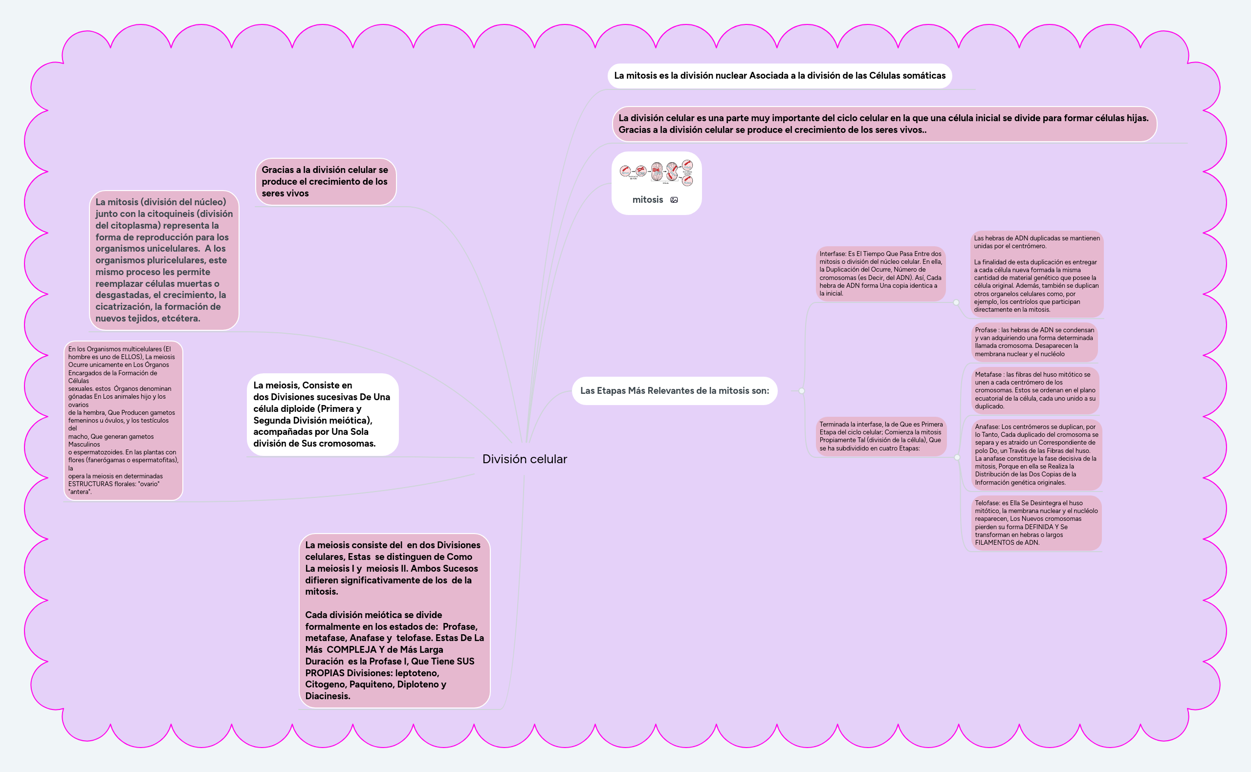 Division Celular Mindmeister Mapa Mental