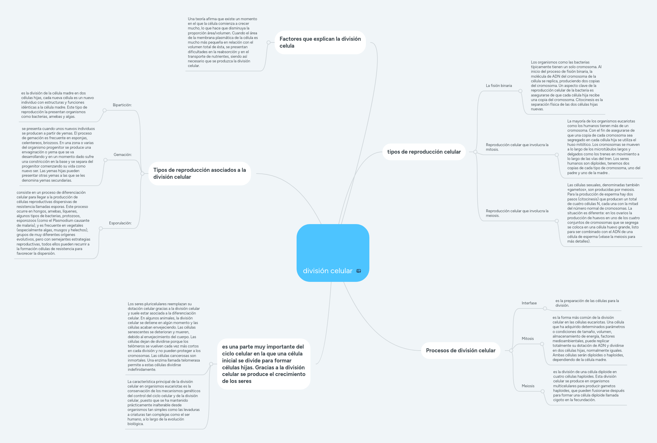 Division Celular Mindmeister Mapa Mental