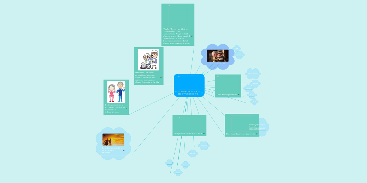 ASPECTOS CONCEPTUALES DEL ENVEJECIMIENTO MindMeister