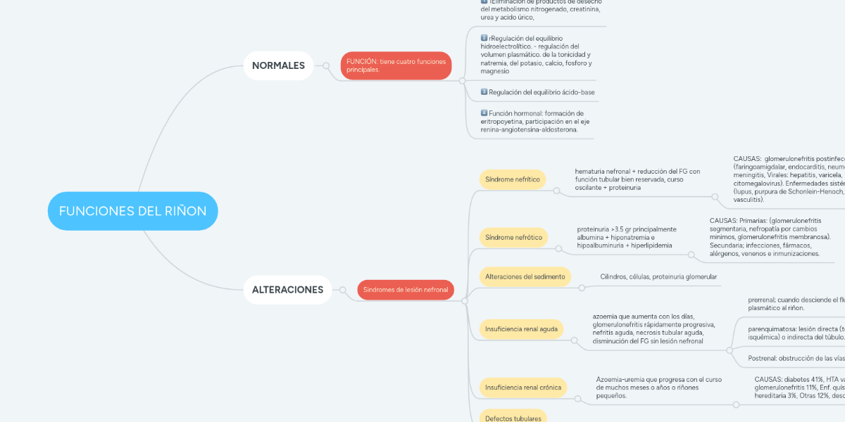 FUNCIONES DEL RIÑON MindMeister Mapa Mental