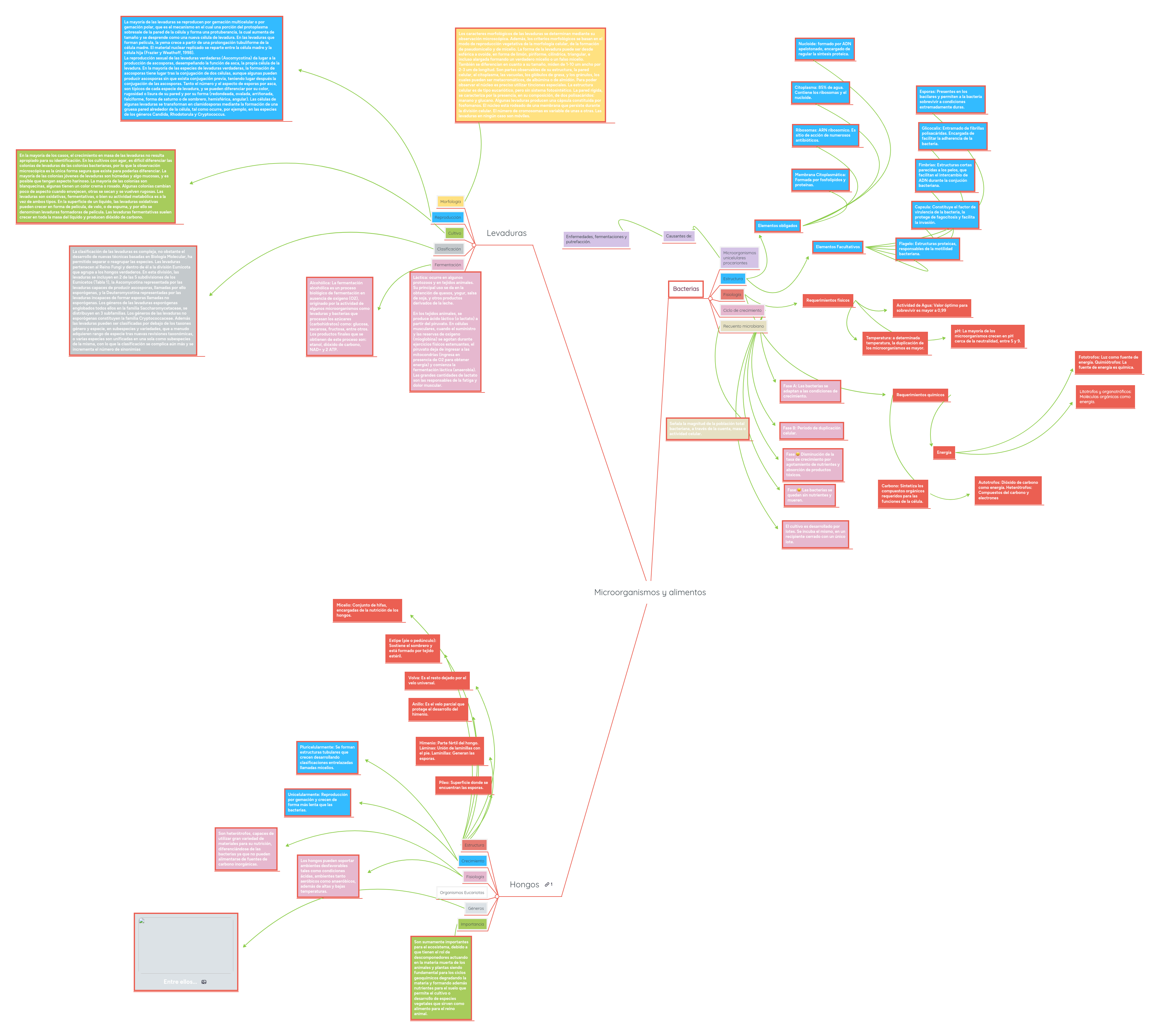 y alimentos MindMeister Mapa Mental