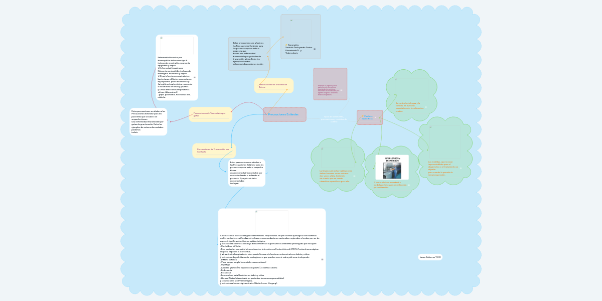 48+ Mapa Conceptual Tipo Araã±A Gif Tipos