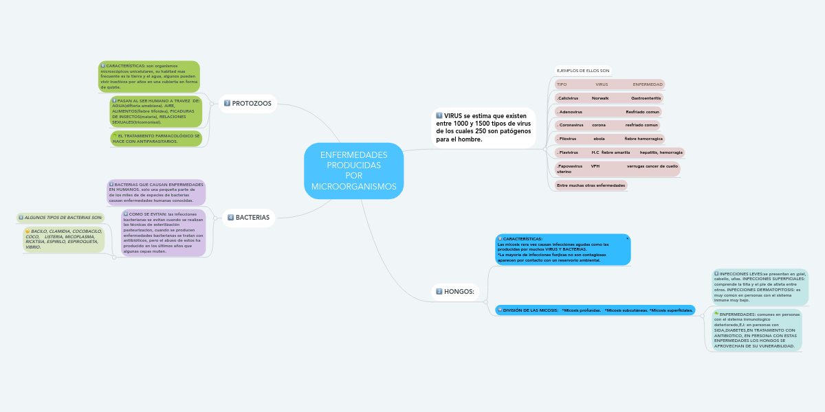 ENFERMEDADES PRODUCIDAS POR MindMeister
