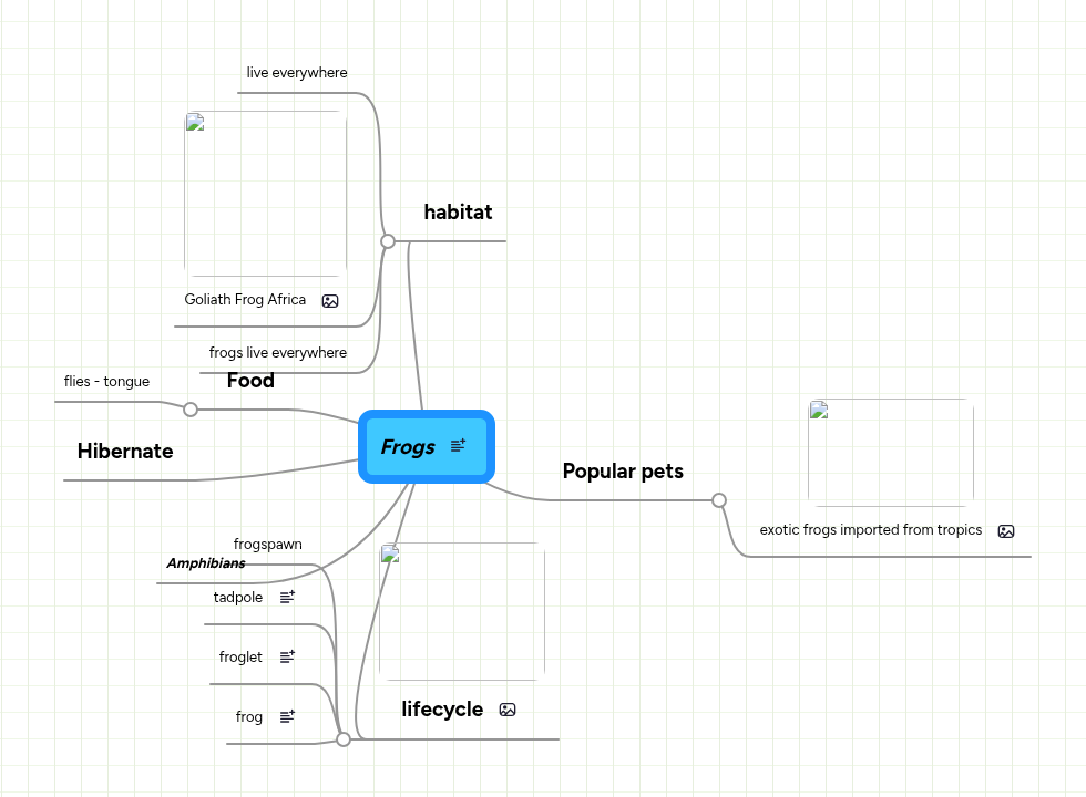 Frogs | MindMeister Mind map