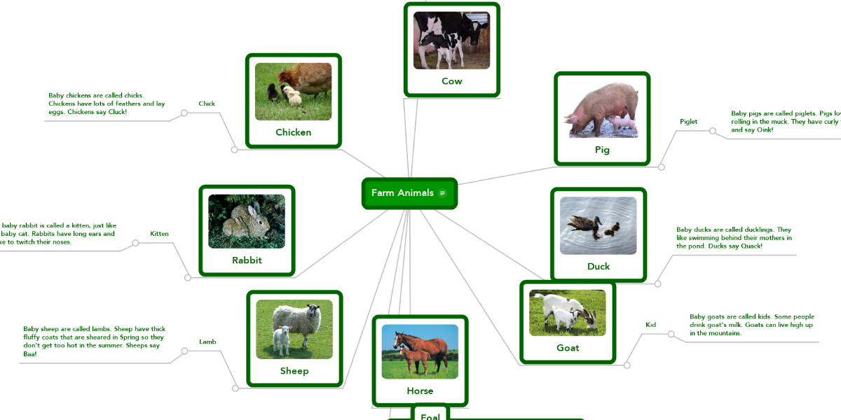 Farm Animals | MindMeister Mind Map