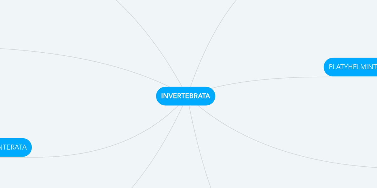 INVERTEBRATA MindMeister Mind  Map 