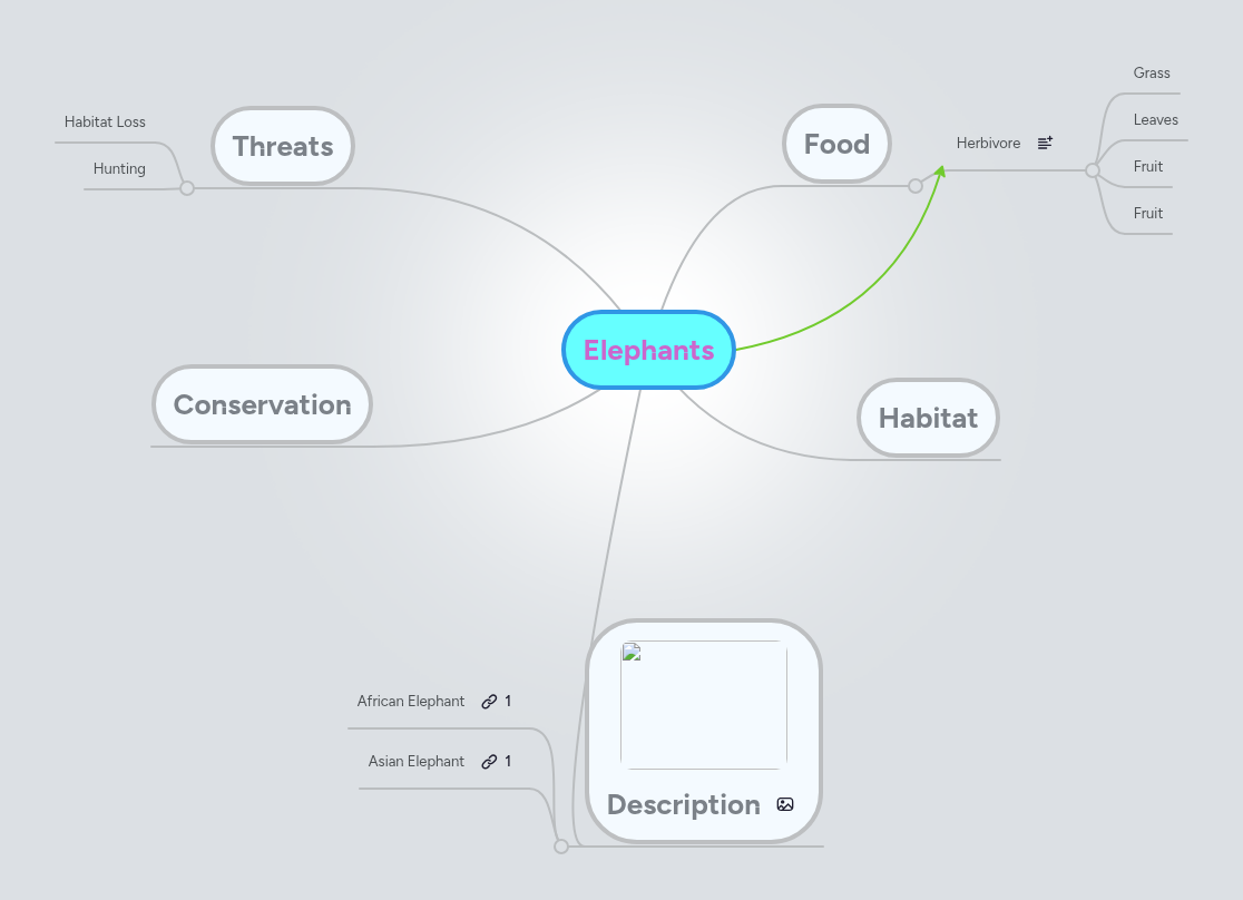 Elephants | MindMeister Mind map