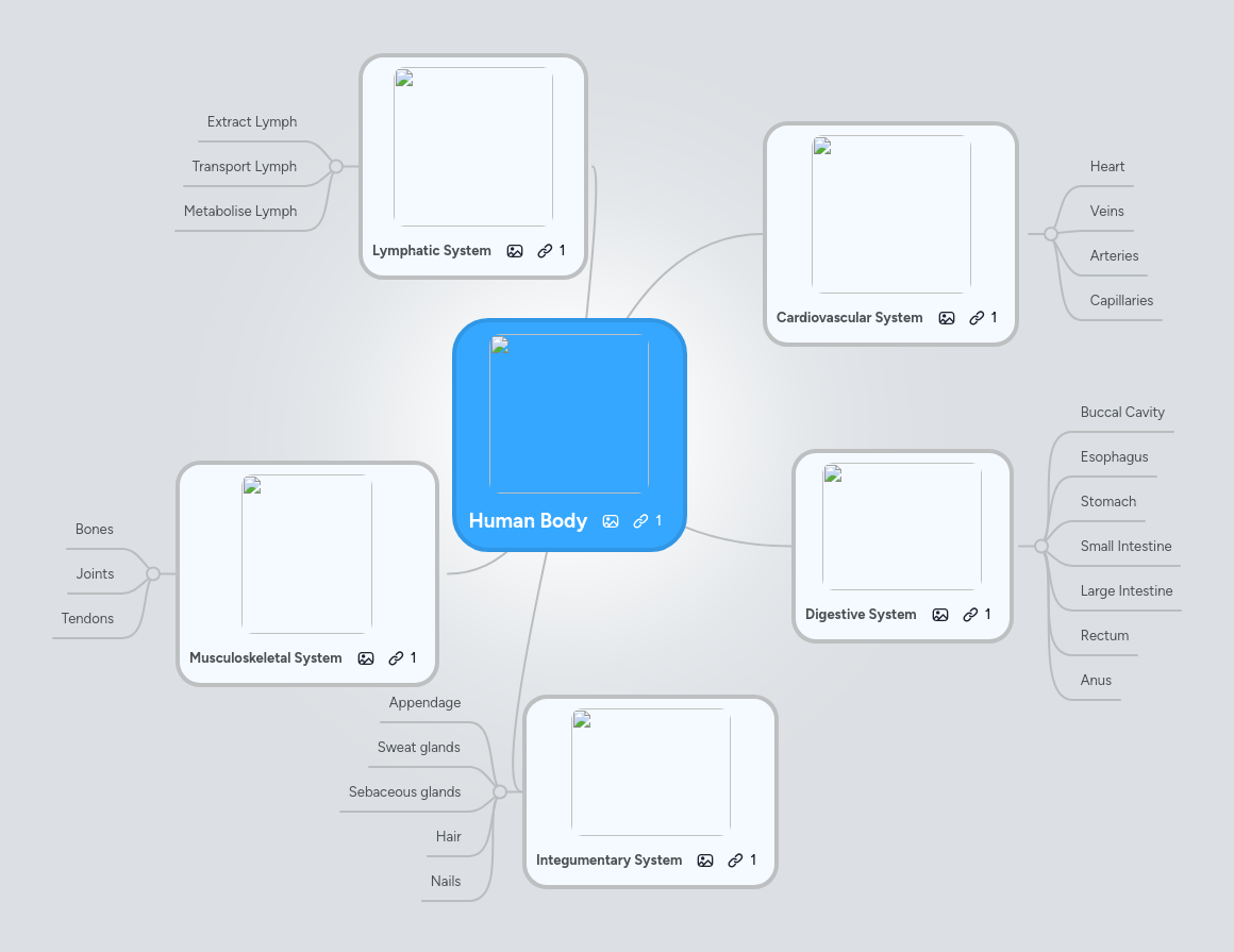 Human Body | MindMeister Mind Map