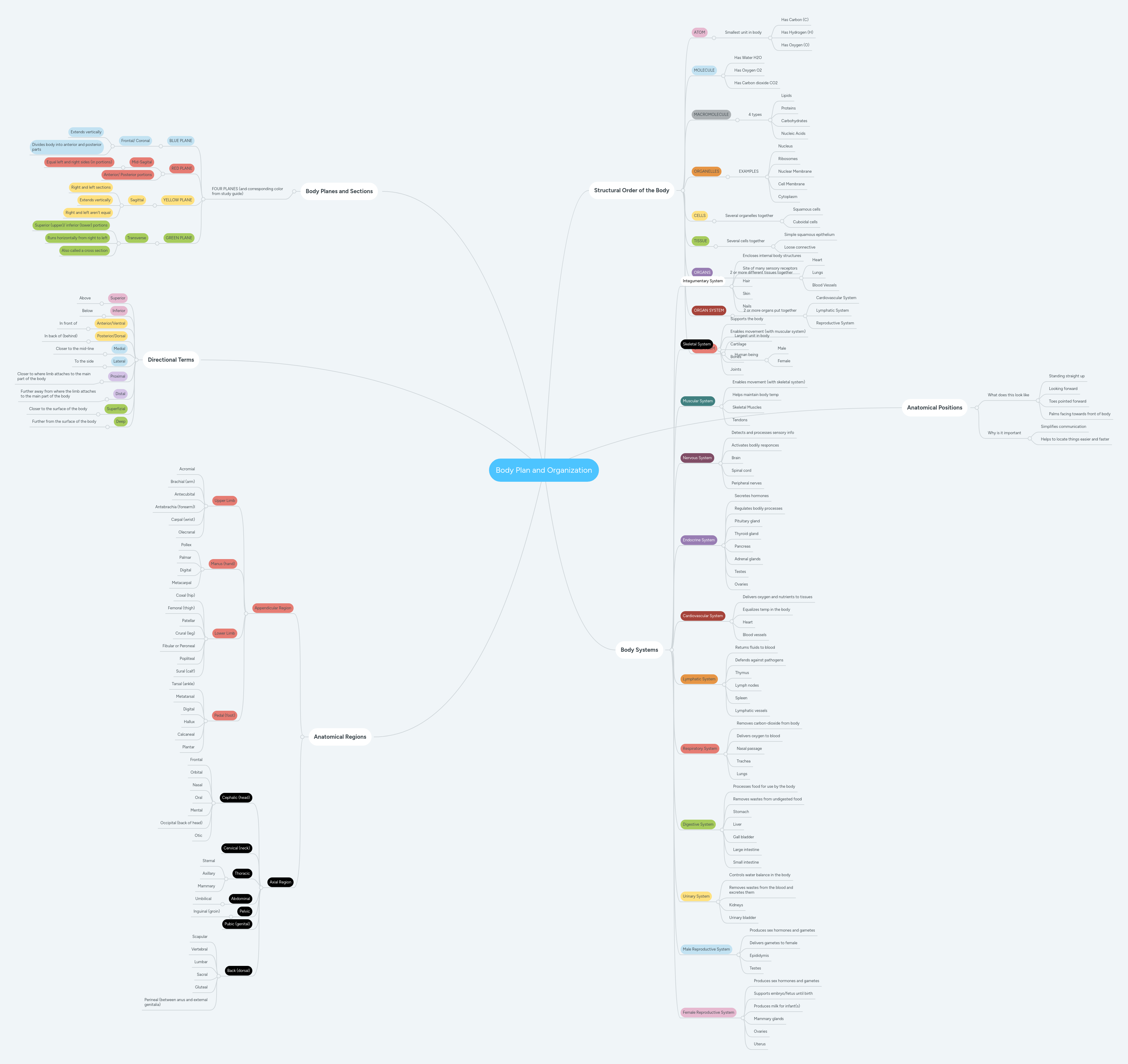 Body Plan and Organization | MindMeister Mind Map