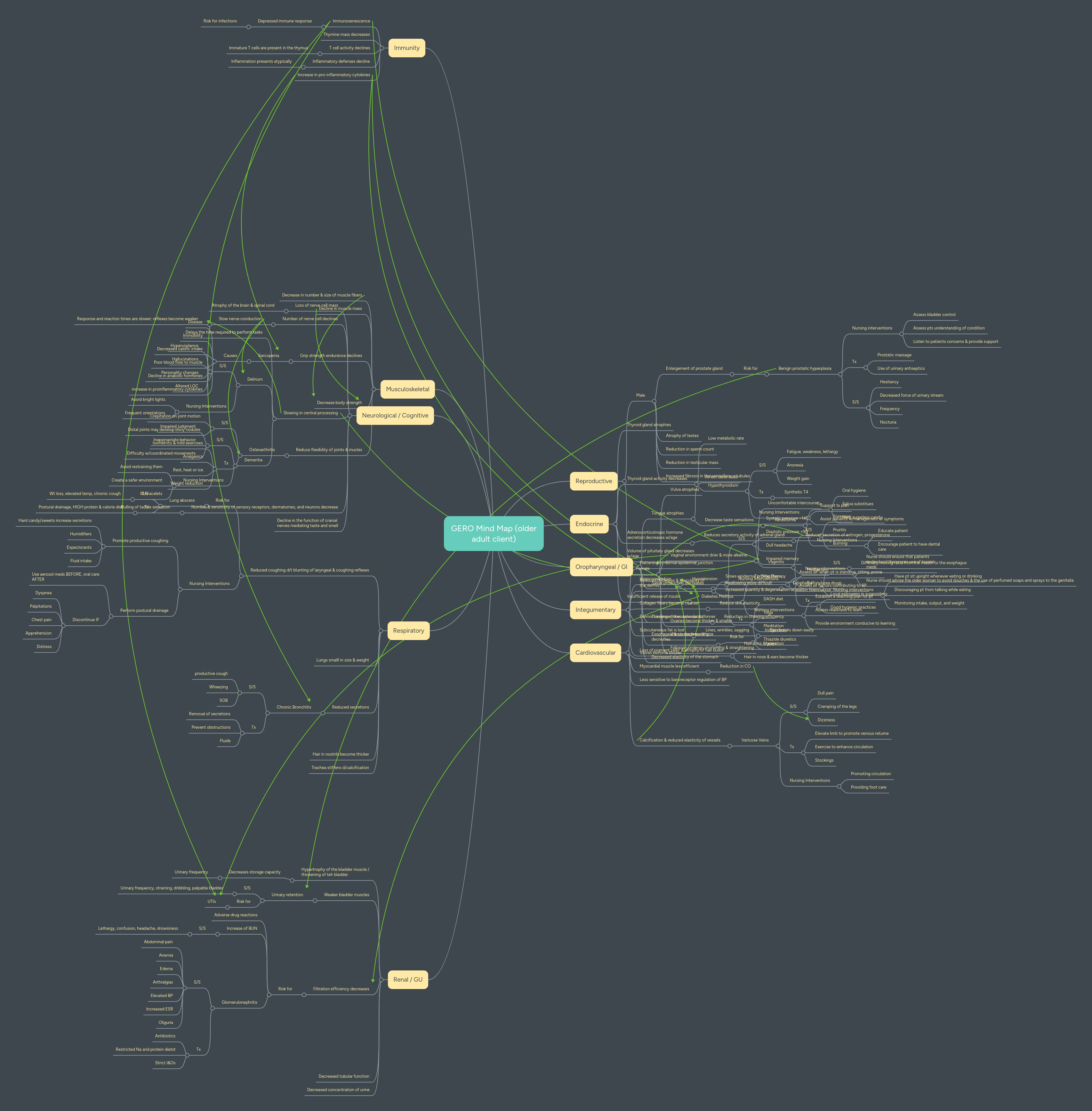 GERO Mind Map (older adult client) | MindMeister Mind map