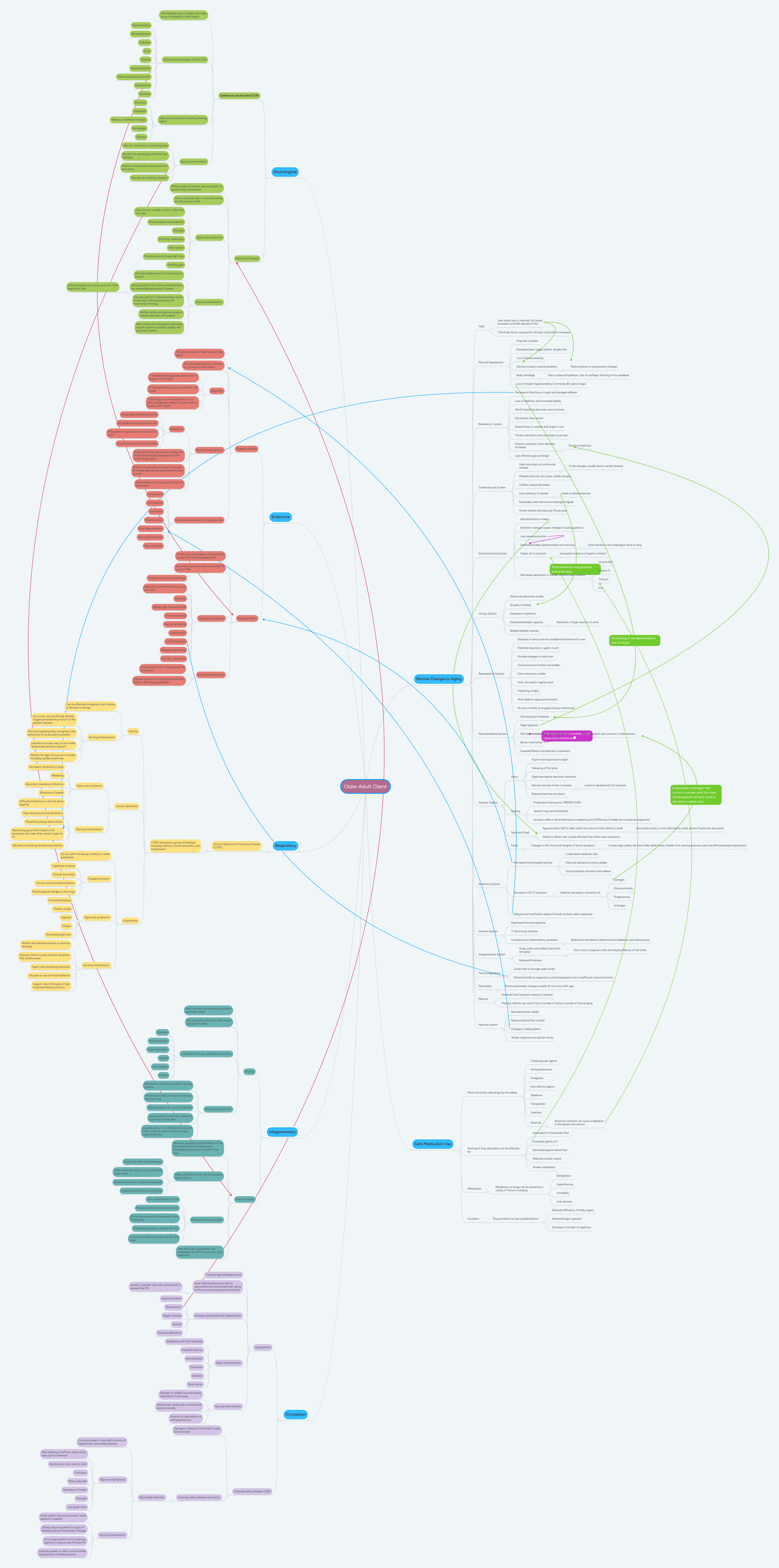 Older Adult Client | MindMeister Mind map