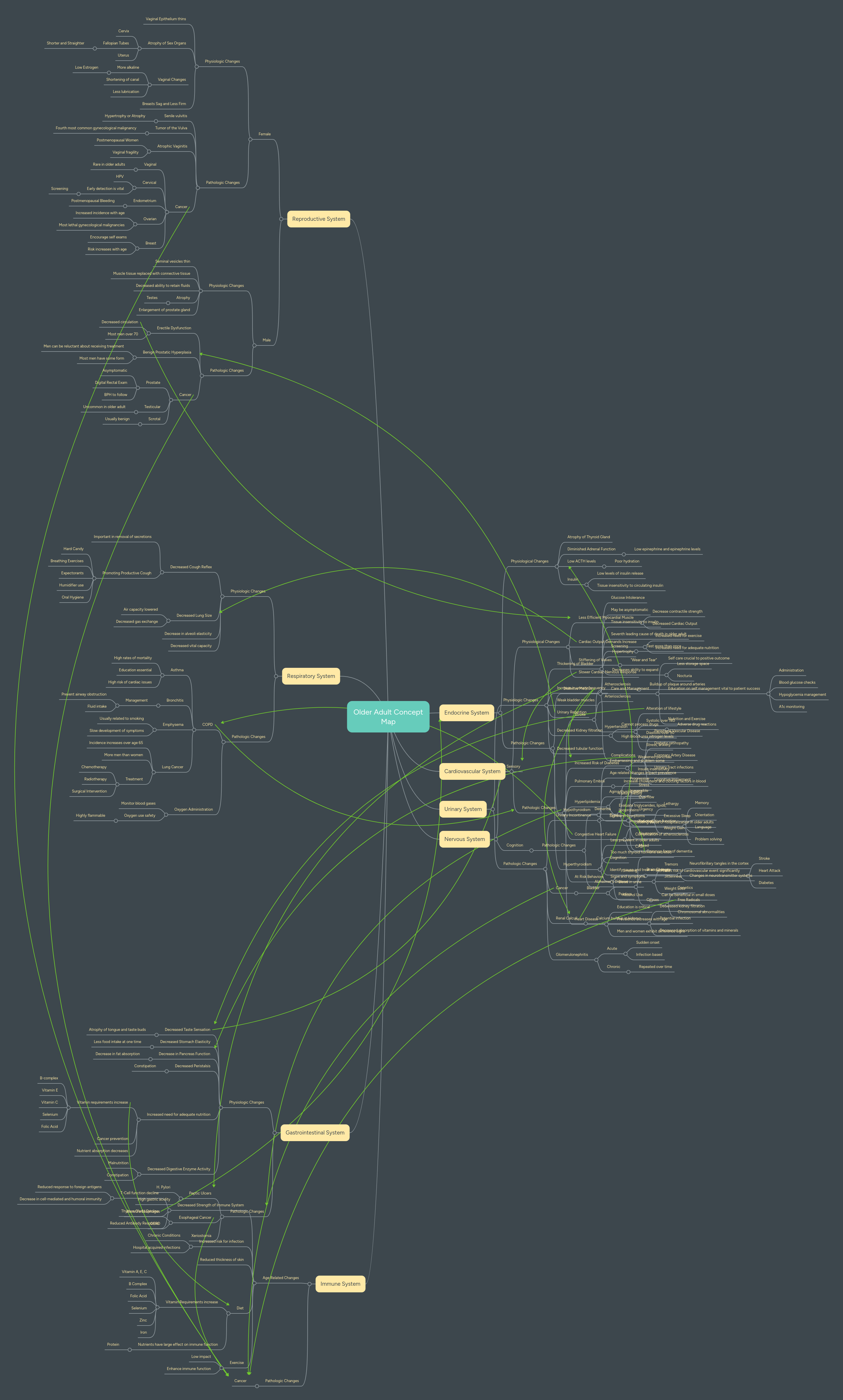Older Adult Concept Map | MindMeister Mind map