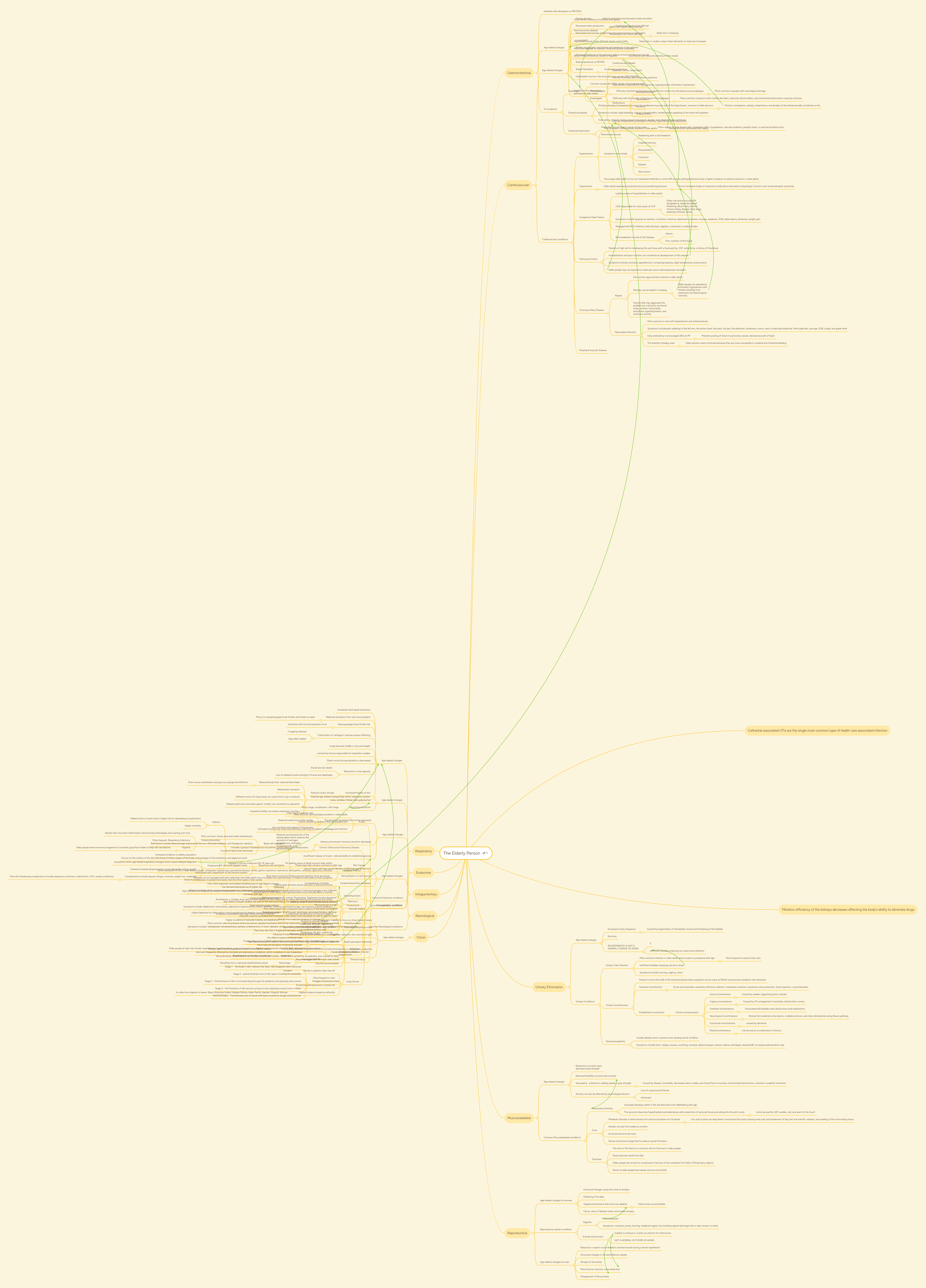 The Elderly Person | MindMeister Mind Map
