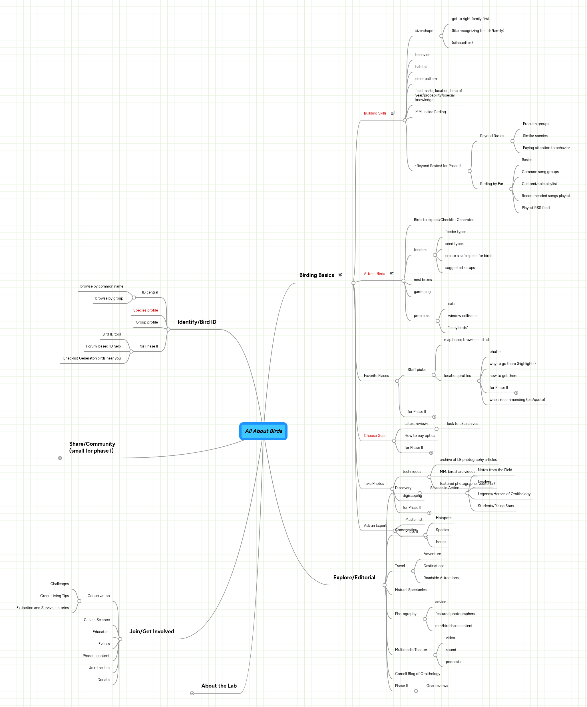 All About Birds | MindMeister Mind map