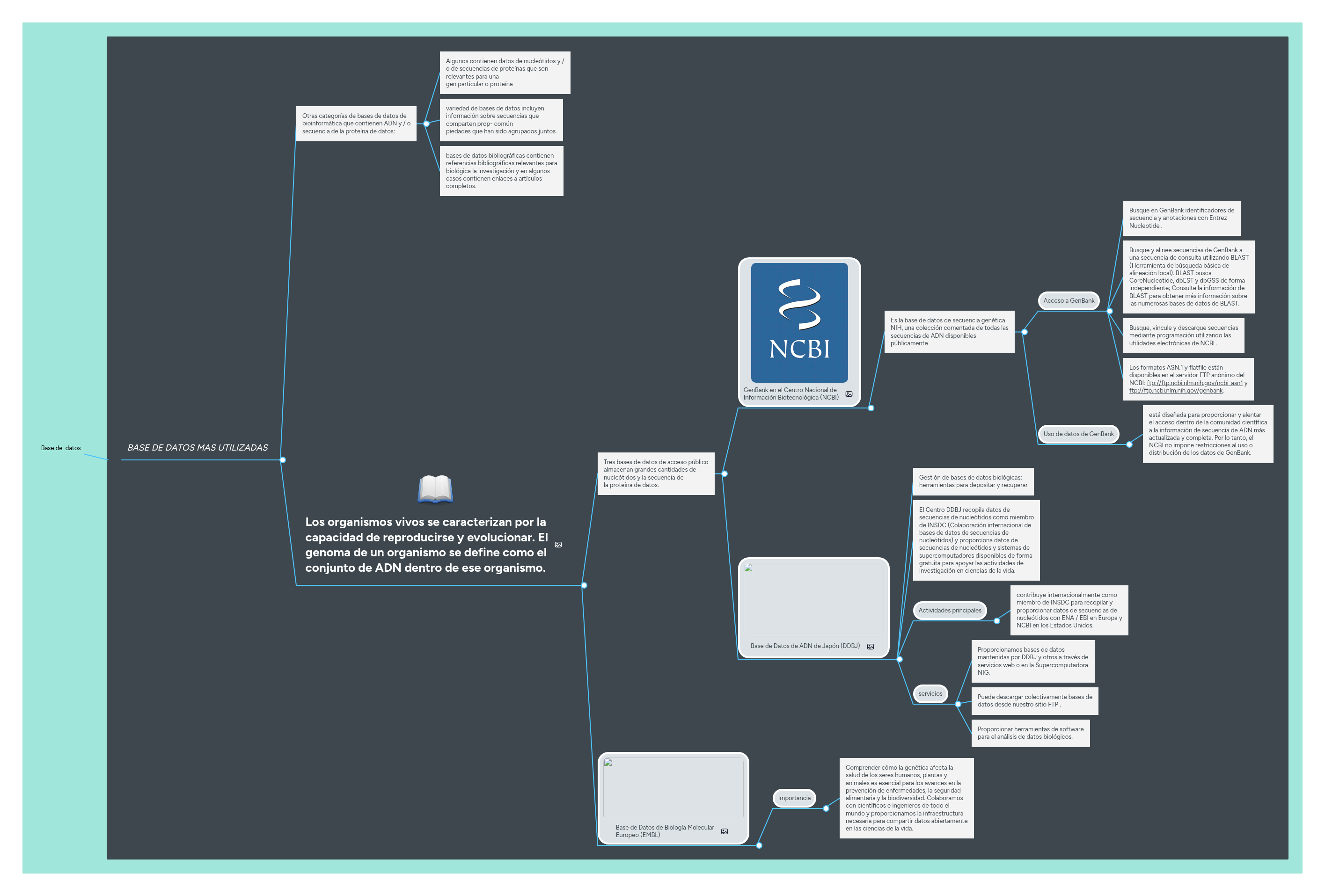 Base de datos | MindMeister Mapa mental