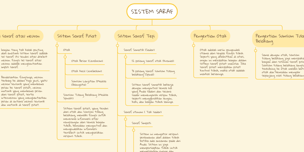 SISTEM SARAF | MindMeister Mind Map