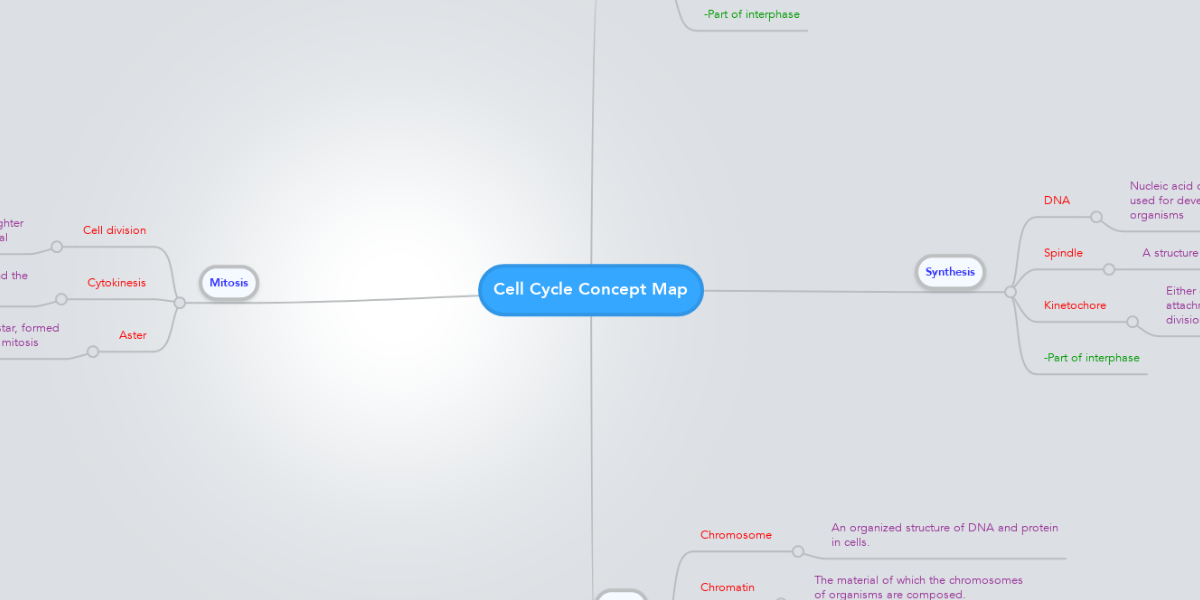 Cell Cycle Concept Map Mindmeister Mind Map