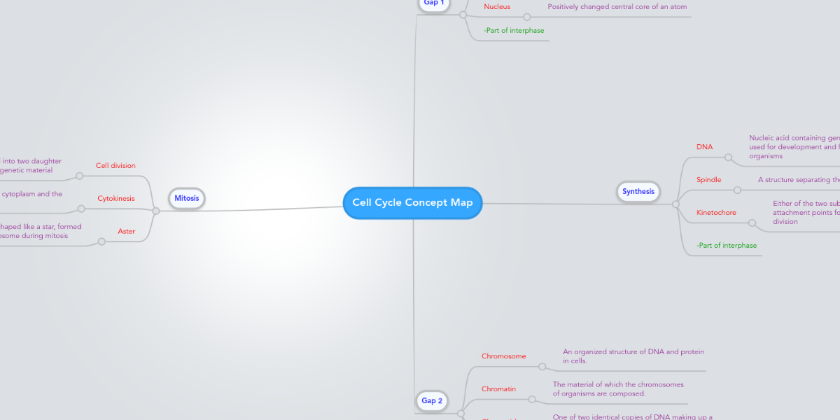 the cell cycle concept map Cell Cycle Concept Map Mindmeister Mind Map the cell cycle concept map