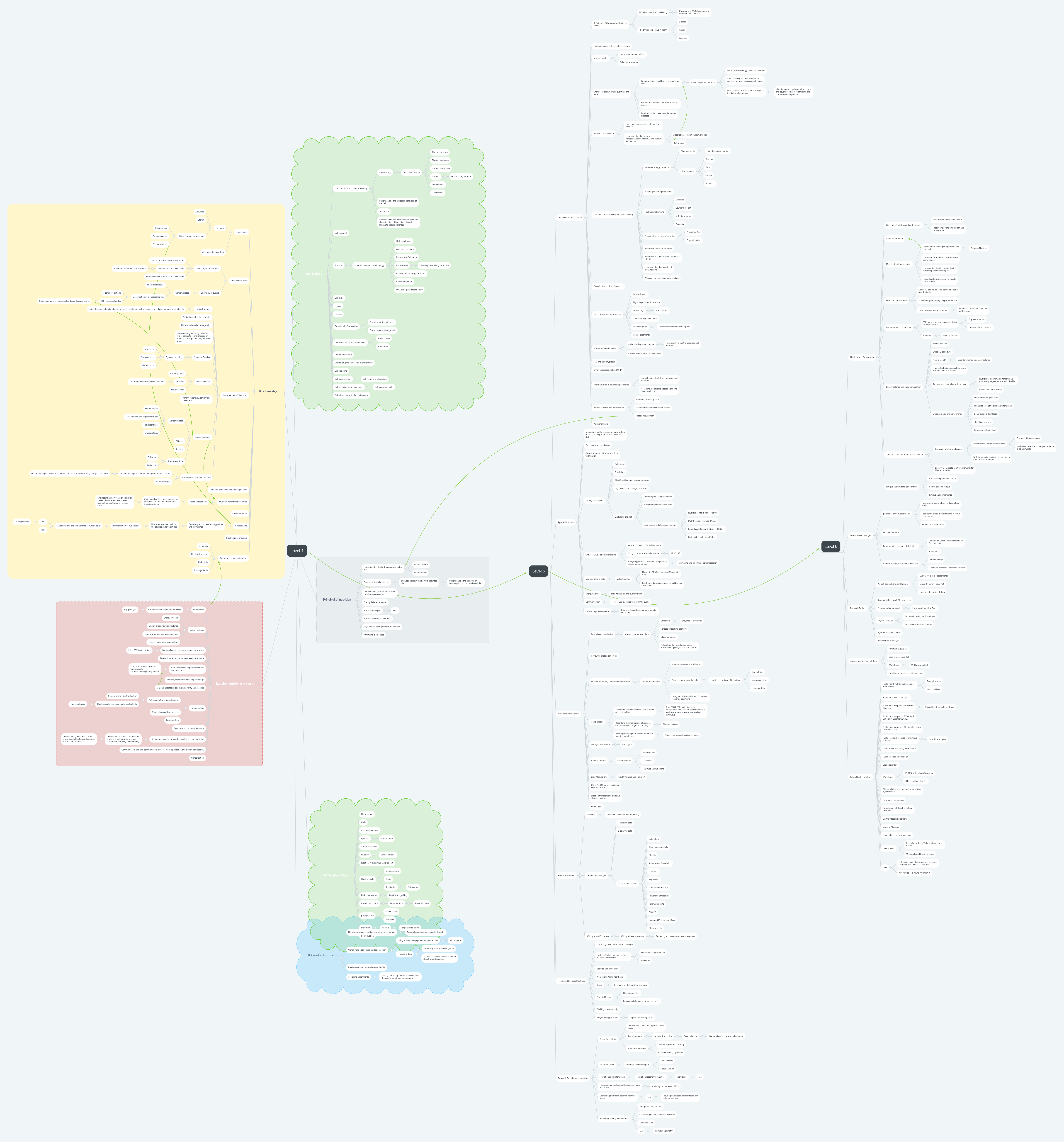 Level 4 | MindMeister Mind map