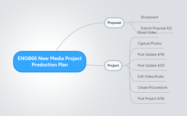 ENG866 New Media Project Production Plan | MindMeister Mind map