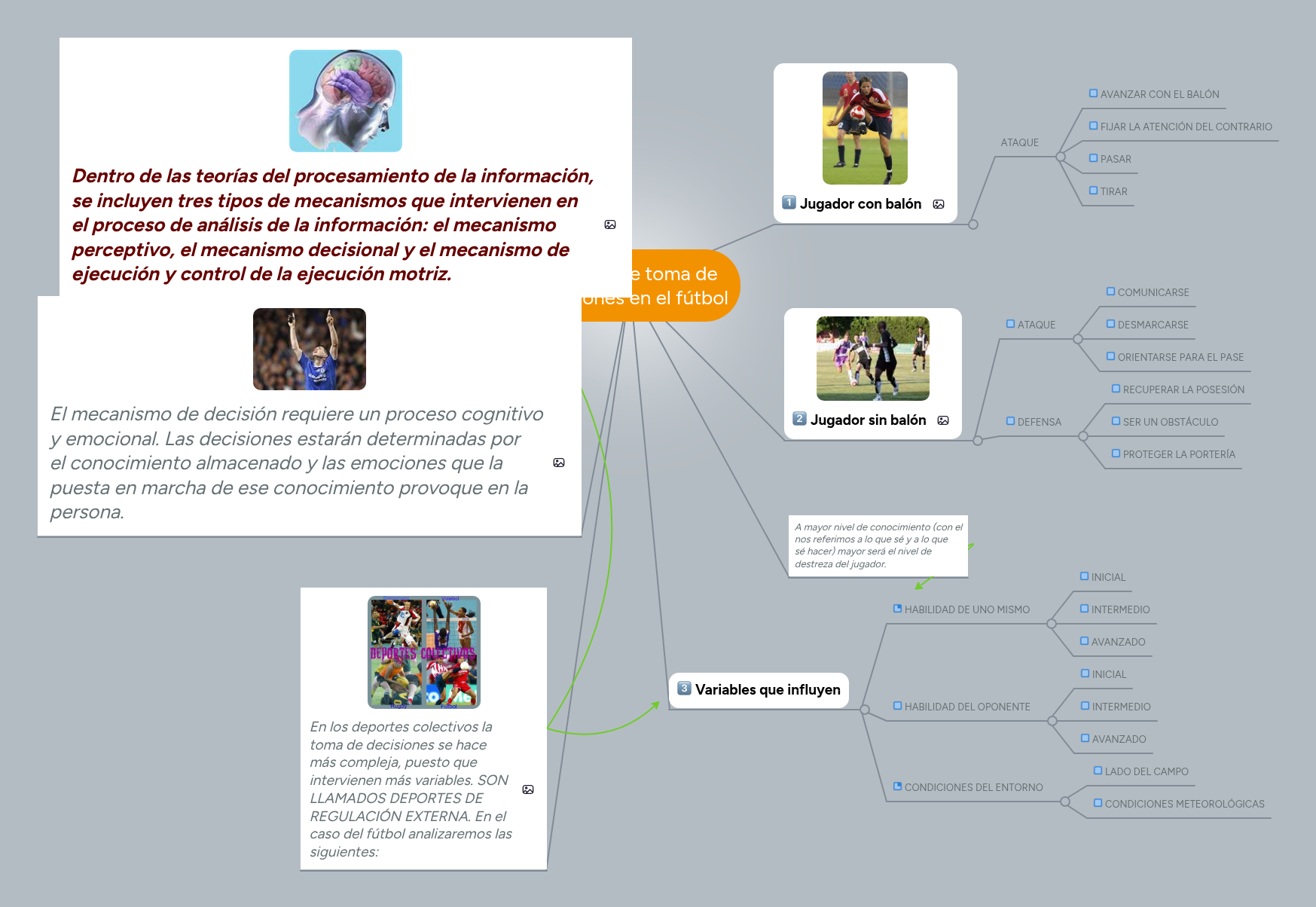 Proceso de toma de decisiones en el fútbol | MindMeister Mapa mental
