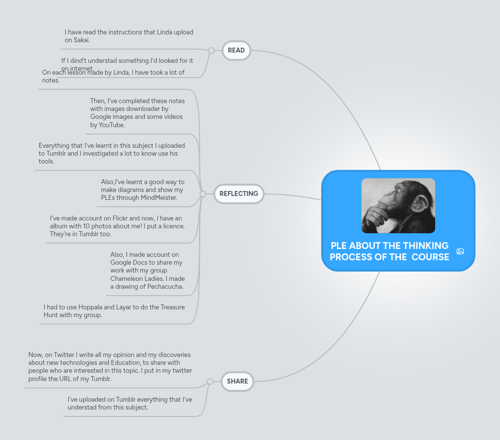 PLE ABOUT THE THINKING PROCESS OF THE COURSE | MindMeister Mind map