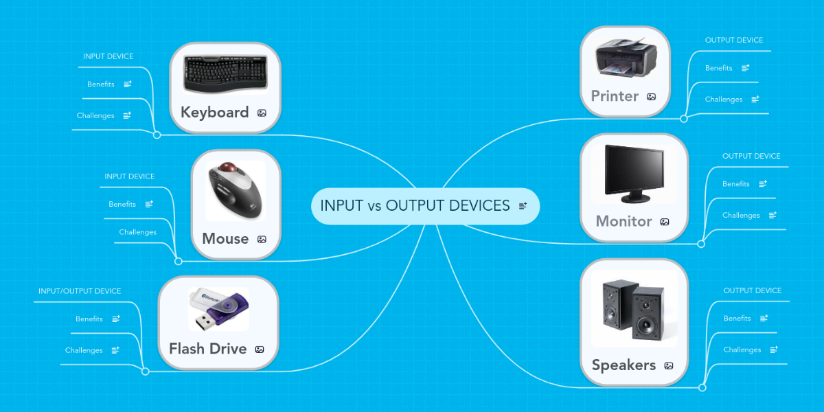 Input vs output business