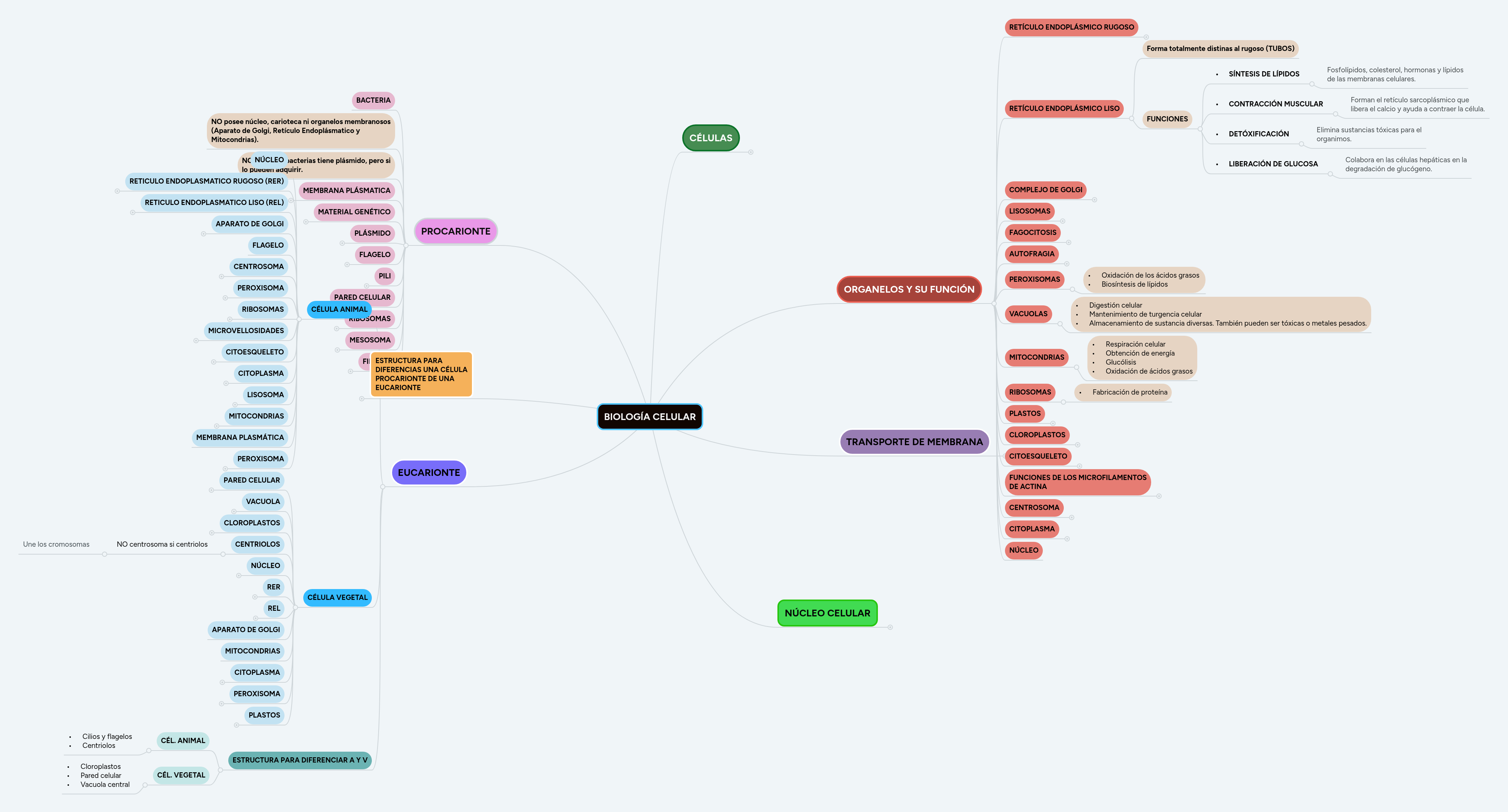 BIOLOGÍA CELULAR | MindMeister Mapa Mental