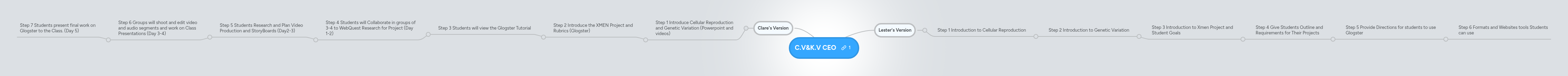 C.V&K.V CEO | MindMeister Mind map